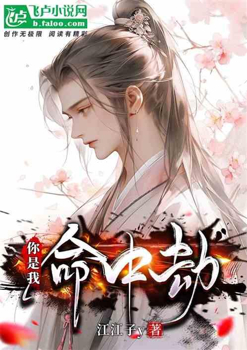你是我命中劫