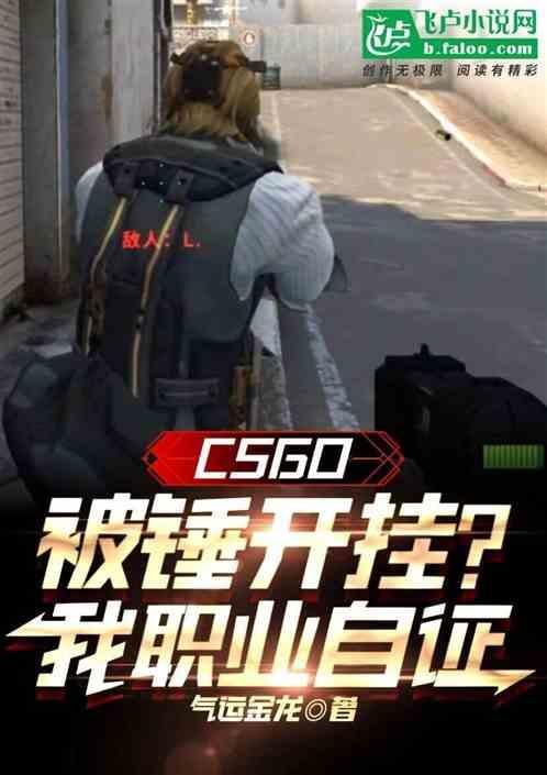 CSGO:被锤开挂？我职业自证