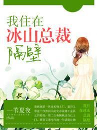 我住在冰山总裁隔壁
