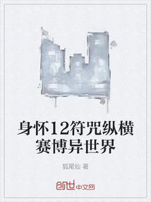 身怀12符咒纵横赛博异世界