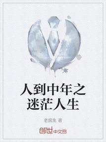 人到中年之迷茫人生