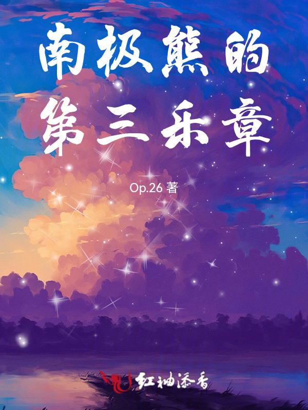 南极熊的第三乐章