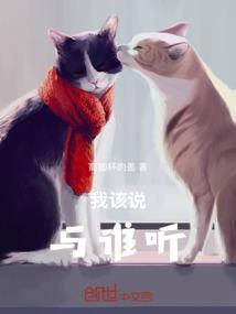 我该说与谁听