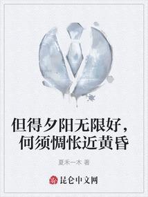 但得夕阳无限好，何须惆怅近黄昏