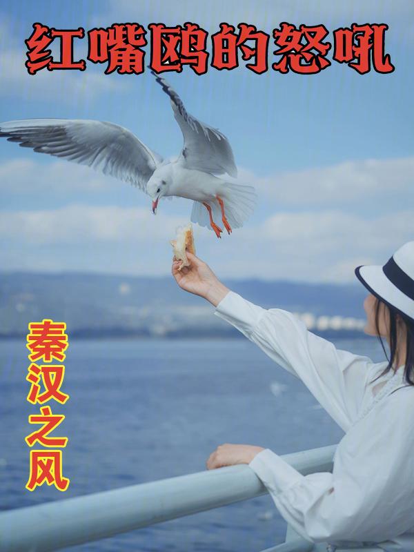 红嘴鸥怒吼