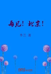 再见！北京