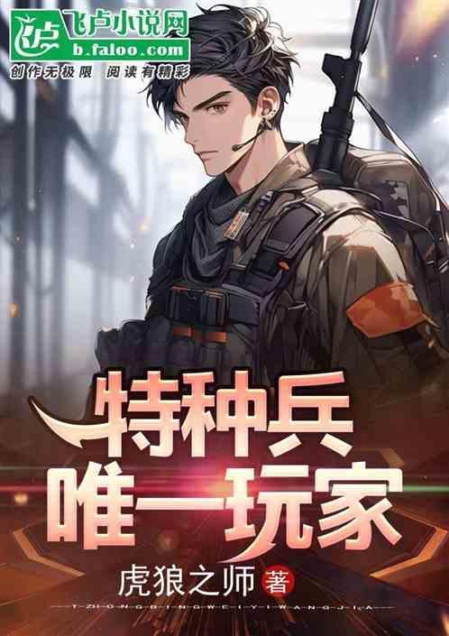 军功游戏：我，唯一玩家！