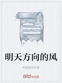 明天方向的风