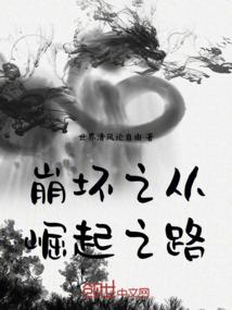 崩坏之从崛起之路