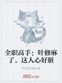 全职高手：叶修麻了，这人心好脏