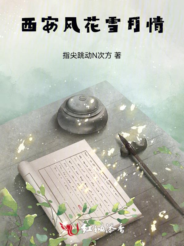 西安风花雪月情