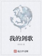 我的剑歌