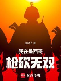 我在墨西哥枪砍无双
