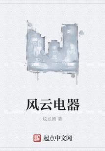 风云电器