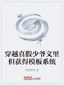 穿越真假少爷文里但获得模板系统