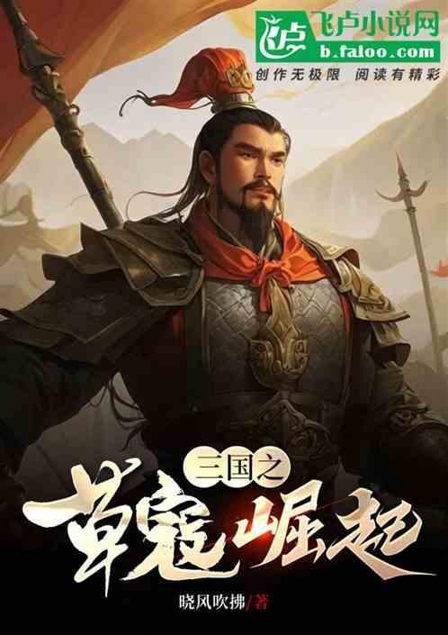 三国之草寇崛起