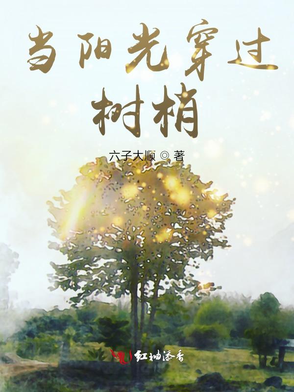 当阳光穿过树梢