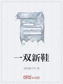 一双新鞋