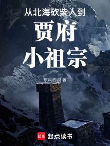 从北海砍柴人到贾府小祖宗