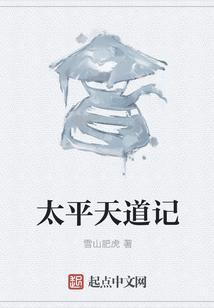 太平天道记
