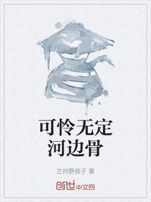 可怜无定河边骨