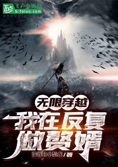 无限穿越：我在反复做赘婿