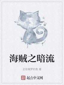 海贼之暗流