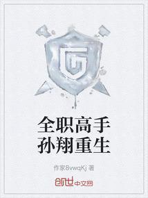 全职高手孙翔重生