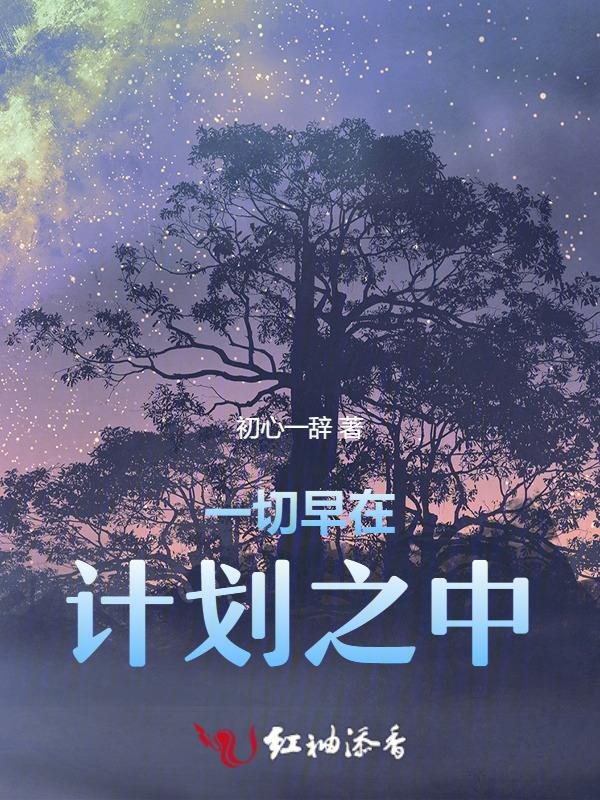 一切早在计划之中