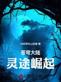 苍穹大陆灵途崛起